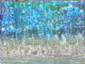 sue and jane SC 81..mp4 sue and jane SC 81..mp4