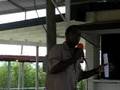 7/22/08 CDRA Press Conference - Part 2 of 4