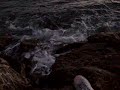 Alassio dalla Cappelletta