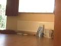 videos de Zohra & Yuna