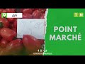 Marché de Grombalia: Baisse des prix des légumes par rapport aux semaines précédentes [Vidéo]