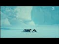 Penguins