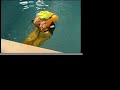 Lifejacket Test by PBO: Baltic Winner