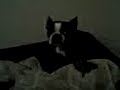 Sleeping on Aaron!