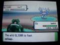 Shiny Gligar with Radar (30th Specie Shiny Special!!)