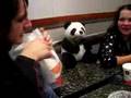 McDonald's - salad for Ivet