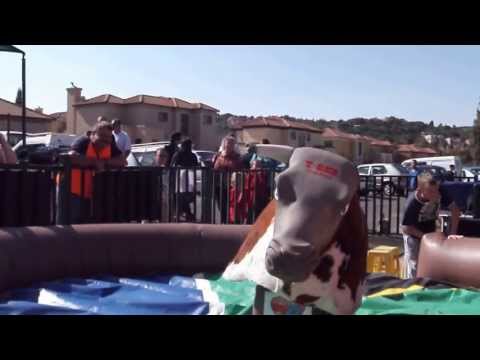 - Panorama Flea Market - Panorama Flea Market