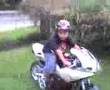 hayabusa 1300cc