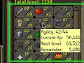 Brimhaven Agility Arena Guide