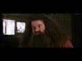 Harry Potter - Hagrid Pervert 2