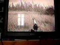 videos de CoD4: Out of All Ghillied Up (the old way)