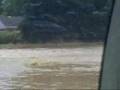 The Martinsville Flood