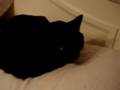 Introducing Phantom! part01