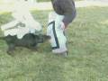 videos de chabal entrainement.wmv
