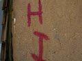 HIPPIES of Tonopah