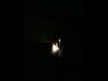 Seth killing a tree