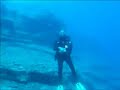 Mergulho nos A�ores - Faial