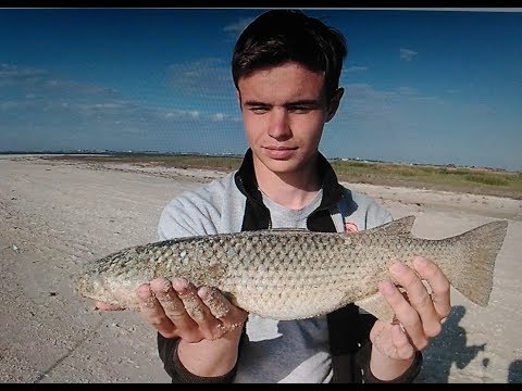 рыбалка на азовском море кефаль и пеленгас рыбалка на азовском море кефаль и пеленгас