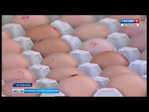 Просмотр видео