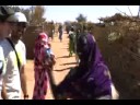 Stop Genocide Now - send $5 or send to 5 friends