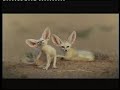 Globalnomad-nature-oxygen-Cry for the earth Globalnomad-nature-oxygen-Cry for the earth