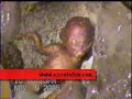 Alien descubierto en un  contenedor