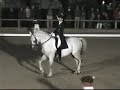 Thann: Anja Ploenzke and Lamborgini Grand Prix Kuer