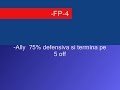-FP-4 Rox6 travian