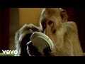 Jamie T - Sheila