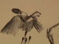 http://www.artnet.com/awc/eugene-j-martin.html . 
this is part 4 of a 5-part series on the whimsical birds of visual artist eugene j. martin. the works dating from 1977-1978 are graphite drawings created in washington d.c.  video clip montage by s. fredericq, filmed in lafayette, louisiana (la).  

