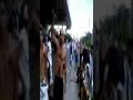 JOVEM RIO PRETO