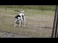 pareja haciendo el amor