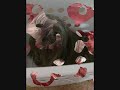 Cookie barking,whimpering,talking....