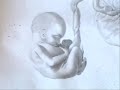 ANATOMY LESSONS FROM THE PAST, PREGNANT UTERUS AND EMBRYOS ANATOMY LESSONS FROM THE PAST, PREGNANT UTERUS AND EMBRYOS