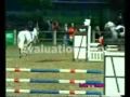 pioltello finale campionato regionale lombardo pony 2008