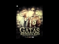 Daddy Yankee - Gatas, Bosinas y Bajo Ft. Farruko 2011 Cartel Records