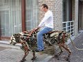 mechanical tiger in brugge