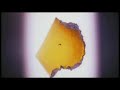 Jurassic Park Teaser Trailer Jurassic Park Teaser Trailer