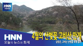 4월의 산 벚꽃 고비산 만개