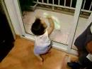 Beb� Faxineiro
