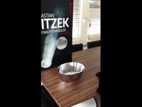 Video ansehen