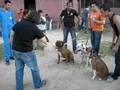 videos de MAVERICK & BAZUKA TRAINING  part 3.AVI