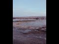 Strokkur Geyser