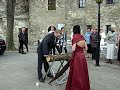 Baumstanmm zersägen Baumstanmm zersägen