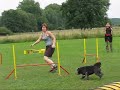 Neofici�ln� agility z�vody - Moony + Sendy