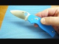 Spyderco Sage 3