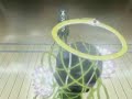 Katekyo Hitman Reborn Amv Katekyo Hitman Reborn Amv