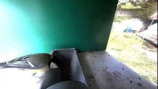 2014-4-22, Webcam Birdcam