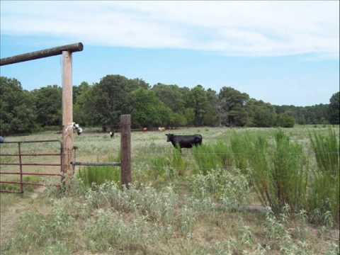 675.29 acres Spencerville, OK