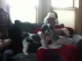 Xmas joy oden style